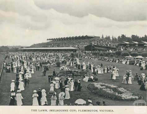 The Lawn, Flemington Melbourne Cup Horses, Edwardian Photographs, Flemington Racecourse, Country Photos, Australian History, Historic Houses, Melbourne Cup, Race Horses, Historic Photos