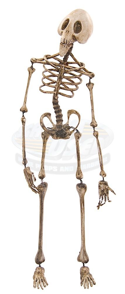 Corpse Bride Skeleton, Skeleton Puppet, Doll Cosplay, The Corpse Bride, Human Skull, Corpse Bride, Día De Muertos, Tim Holtz, Tim Burton