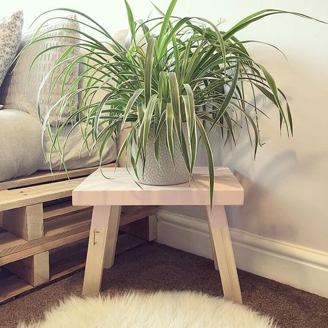 Diy Round Plant Stand, Diy Plant Stool, Plant Tables, Plant Stool, Bedside Stool Table, Diy Stool, Indoor Greenery, India Home Decor, Mini Furniture