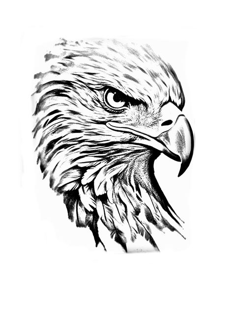 Eagle Tattoo Stencil, Eagle Head Tattoo, Half Sleeve Tattoos Sketches, Knight Tattoo, Eagle Drawing, Symbol Drawing, Lion Head Tattoos, Armband Tattoo Design, Mens Shoulder Tattoo