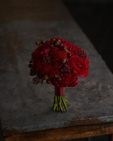 Bridal Bouquet Flowers, Bio Quotes, Wedding Idea, Red Wedding, Red Peppercorn, Winter Wedding, Bridal Bouquet, Wedding Inspo, Flowers Bouquet