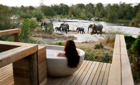 Each Londolozi Camp offers its guests luxurious accommodation, stunning views, exceptional cuisine and access to the best game viewing opportunities. Limo Luxury, South Africa Honeymoon, Lodges South Africa, Africa Honeymoon, Luxury Safari Lodge, Okavango Delta, Luxury Safari, Africa Do Sul, Most Romantic Places