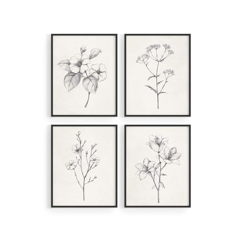 Botanical Prints Black And White, Farmhouse Bathroom Rustic, Art Compliments, Pictures For Room, Farmhouse Bedroom Wall Decor, White Flower Pictures, Sophisticated Farmhouse, Plant Posters, Posters For Wall