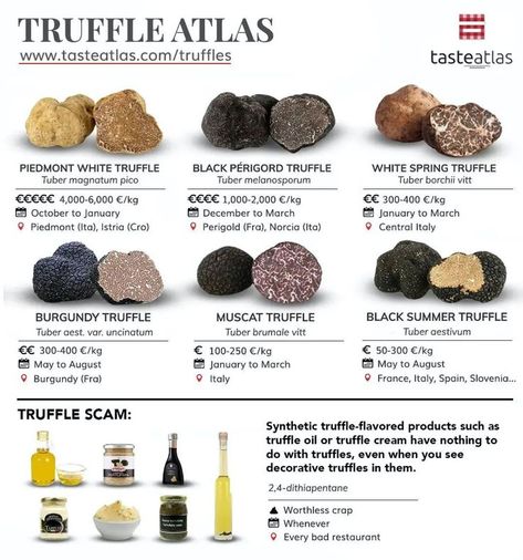 Growing Truffles, Growing Mushrooms At Home, Summer Truffle, Truffle Mushroom, Culinary Cooking, Luxury Food, Truffle Recipe, Truffle Oil, White Truffle