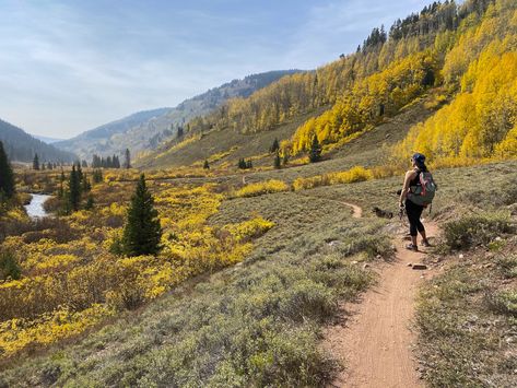 Best fall hikes in Crested Butte and Gunnison Colorado Hunting, Fall In Colorado, Wagon Trails, Fall Hikes, Butte Mt, Gunnison National Park, Colorado Fall, Emerald Lake, Crested Butte