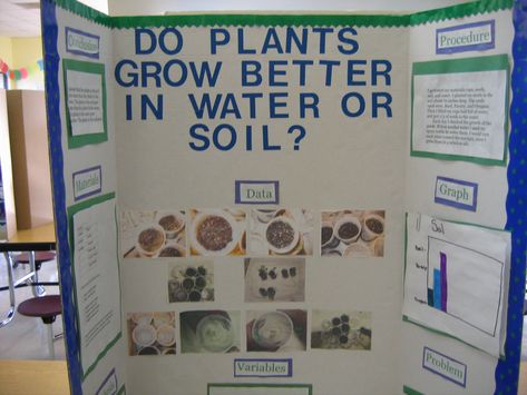 Do Plants Grow Better in Water or Soil? Plant Science Fair Projects Boards, Plant Science Fair Projects, Plants Science Project, Teaching Sustainability, Stem Fair Projects, Biology Science Fair Projects, Science Fair Poster, Science Project Board, Science Fair Project Ideas