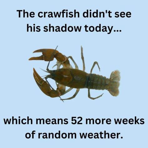 Weather Memes Humor, Random Holidays, Weather Memes, Weather Seasons, Memes Humor, Holiday Humor, Funny Memes, Holidays, Humor