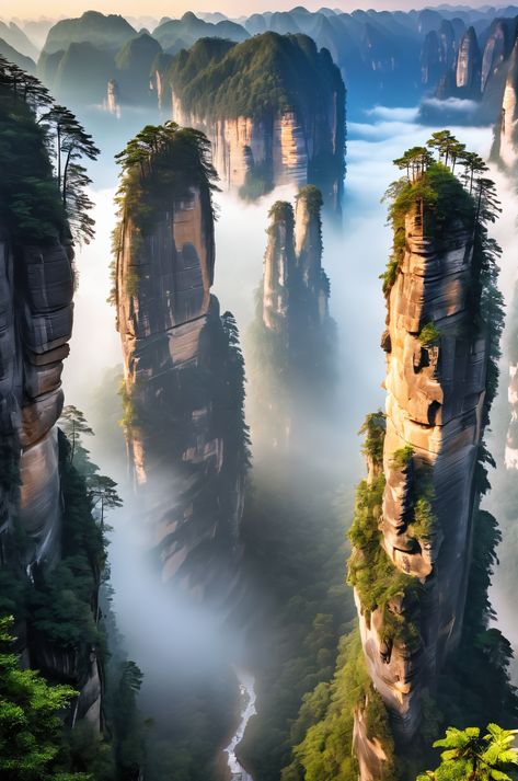 Witness the ethereal beauty of Zhangjiajie National Forest Park. This captivating image showcases towering sandstone pillars, misty valleys, and dramatic morning light. Explore the hot springs, plateaus, and canyons that make this landscape unique. #Zhangjiajie #China #travel Zhangjiajie China, Zhangjiajie National Forest Park, Zhangjiajie, Landscape Features, Forest Park, China Travel, Travel Packages, Travel Nature, Rock Formations