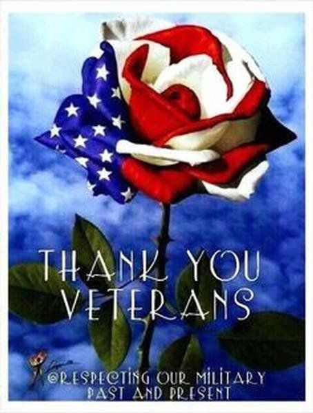 Happy Veterans Day Quotes, Memorial Day Pictures, Veterans Day Quotes, Memorial Day Quotes, Patriotic Images, Patriotic Pictures, Thank You Veteran, American Flag Wallpaper, American Holidays