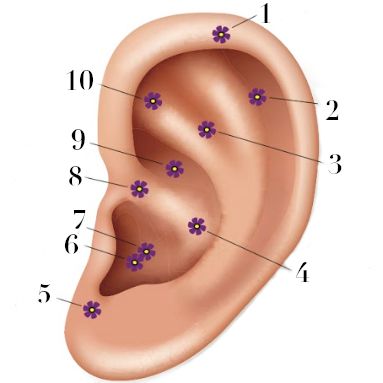 Since You Can't Get To Your Acupuncturist Right | Into The Gloss Ear Acupressure Points, Ear Reflexology, Ear Ringing, Seasonal Allergy Symptoms, Ear Seeds, Thyroid Imbalance, Pointed Ears, Acupuncture Points, Acupressure Points