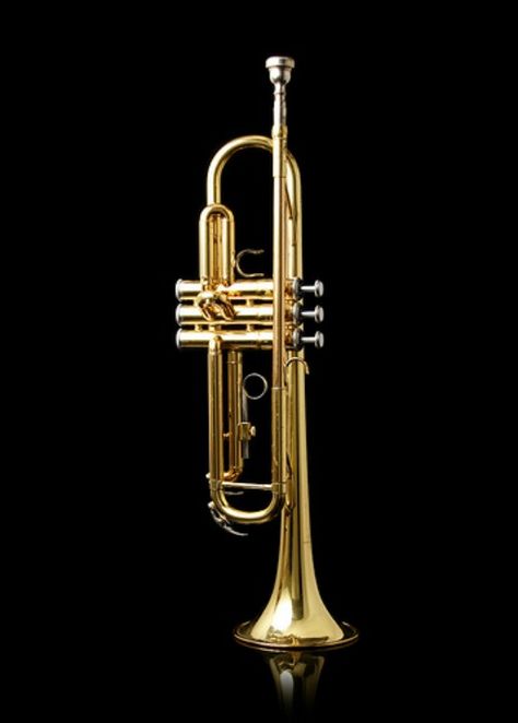 . Instrument Pictures, Brass Musical Instruments, Sheet Music Crafts, Trumpet Music, Homemade Instruments, Diy Instruments, Brass Instruments, Music Appreciation, Band Geek