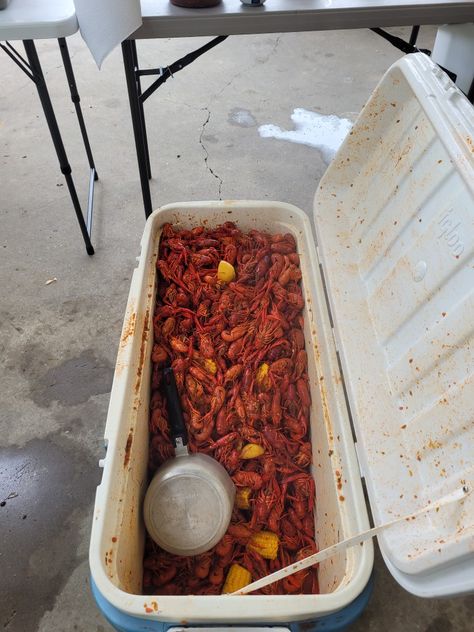 Cajun Boiled Crawfish Cajun Boil, Cajun Cooking, Louisiana