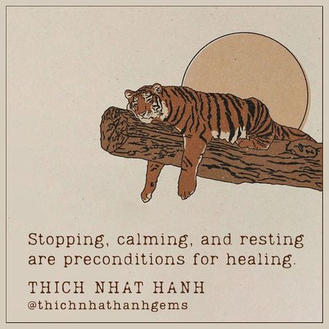 Buddhist Aesthetic, Thich Nhat Hanh Photo, Taoism Quotes, Japanese Sayings, Practical Psychology, Commonplace Journal, Depth Psychology, Thich Nhat Hanh Quotes, Rainbow Warrior