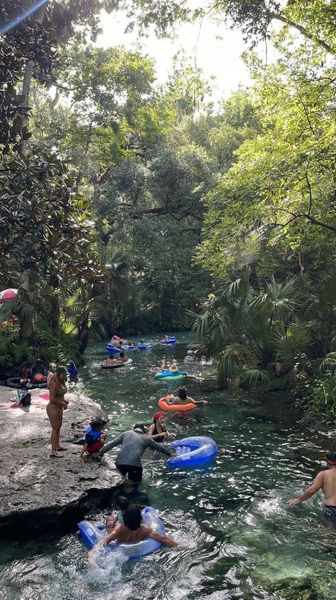 Rock Springs Kelly Park Florida: gkucci Kelly Rock Springs Florida, Kelly Park Florida, Rock Springs Florida, Kelly Park, Rock Springs, Springs Florida, Travel Ideas, Springs, Bucket List