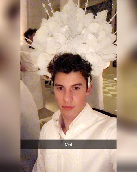 And the best photo of the night... Shawn Mendes 2018, Shawn Mendes Snapchat, Best Army, Shawn Mendes Memes, Muffin Man, Cameron Dallas, Best Photo, Shawn Mendes, My Boyfriend