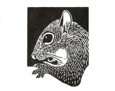 Linocut animals, squirrel, eekhoorn, hand printed wall art, matted, ready to frame, woodland animal print Linocut Animals, Woodcut Art, Linoleum Print, Hand Printing, Printed Wall Art, Woodland Animal Prints, Linocut Art, Woodcuts Prints, Desenho Tattoo