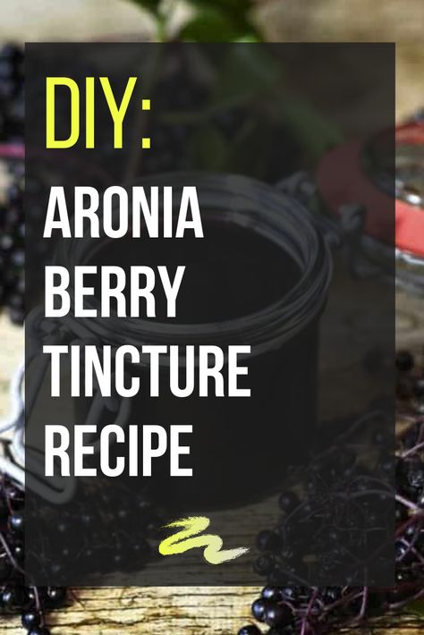 Aronia Berry Syrup, Aronia Berry Benefits, Chokeberry Recipes, Aronia Berry Recipes, Canning Applesauce, Aronia Berry, Keto Friendly Fruit, Elixir Recipe, Benefits Of Berries