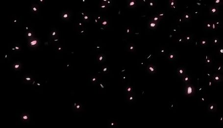 Pink And Black Gif Header, Black And Pink Banner Discord Gif, Effect Gif Png, Stars Discord Banner, Black And White Discord Banner Gif, Pink And Black Banner Gif, Star Overlay Gif, Aesthetic Background Gif, Black Wallpaper Gif