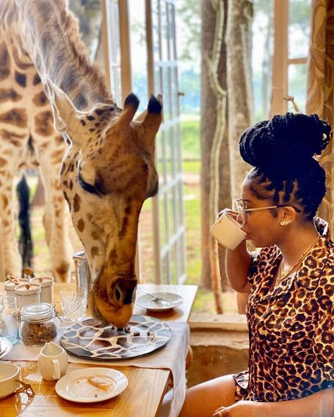 Giraffe Manor Kenya, Giraffe Manor Hotel, Giraffe Manor, Kenya Travel, Travel Noire, Vacation Goals, Vacation Mood, My Bucket List, Well Traveled