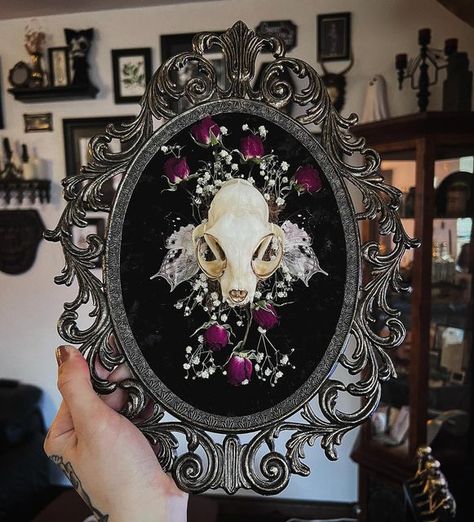 Animal Skull Centerpiece Wedding, Cat Skull Terrarium, Cat Skull Display, Painted Skulls Animal, Bones Display, Bone Artwork, Animal Bone Art, Bone Display, Animal Skull Art