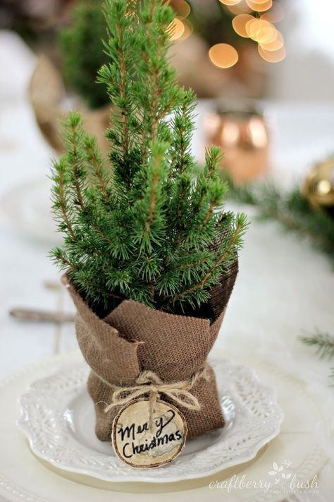 Easy Hostess Gifts, Amazing Christmas Trees, Winter Wedding Favors, Christmas Dinner Party, Large Christmas Tree, Xmas Deco, Christmas Tree Inspiration, Christmas Party Favors, Small Christmas Trees