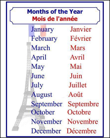 French Months, French Lessons For Beginners, French Language Basics, French Posters, Learn French Beginner, French Basics, French Alphabet, French Flashcards, Basic French Words