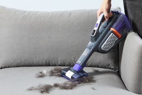 Best Pet Hair Vacuum, Cleaning Upholstered Furniture, Best Handheld Vacuum, Best Cordless Vacuum, Pet Hair Vacuum, Dust Bunnies, Pet Vacuum, Best Vacuum, Canister Vacuum