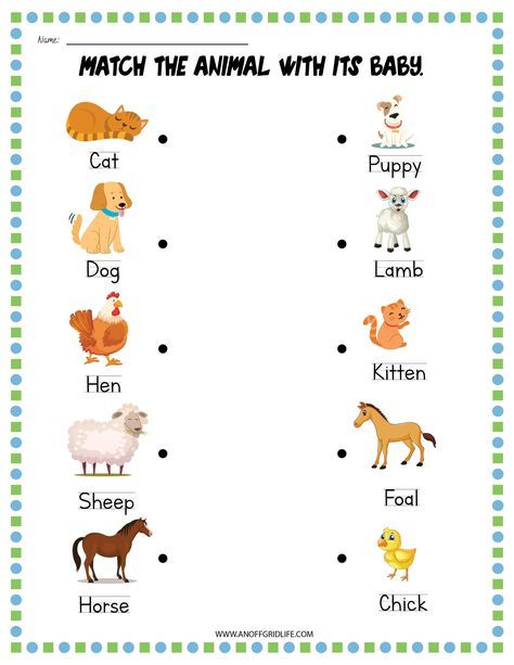 Everyone loves barnyard animals in the spring - especially with all those little piglets, chicks, lambs, foals, calves, etc. This is a great way to not only learn about farm animals and their babies, but also the body parts of these animals. Use this fun farm animals and their babies printable pack as a simple but fun part of your homeschool day this spring. It's great for children ages 3 through 6. It includes: Match the mama animal with the baby activity 24 cut-and-paste matching cards (can al Animals And Their Babies Worksheet, Farm Animals And Their Babies, Animals And Their Young Ones, Printing Practice Sheets, Animals And Their Babies, Farm Animals Activities, Animal Activities For Kids, Worksheet For Kindergarten, Farm Preschool