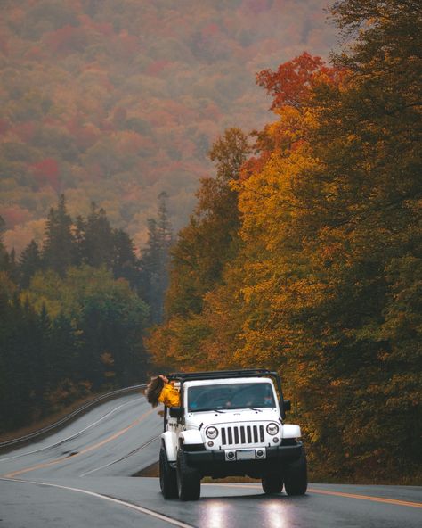 Will start sharing my favorite fall content now and no one tell me otherwise 🥹 Have you visited New Hampshire in the fall? It’s absolutely beautiful and driving on roads like this will make you fall in love with the state 😍 After returning to New England a couple of times to find hidden gems and revisit popular spots, I’m launching my first ever New England Fall Foliage Bucketlist Guide 📷 This will include over 30 hand picked locations that will elevate your photography adventure 🫶🏻 This ... New England Fall, Fall Foliage, In The Fall, New Hampshire, Hidden Gems, Hampshire, Hand Picked, Tell Me, New England