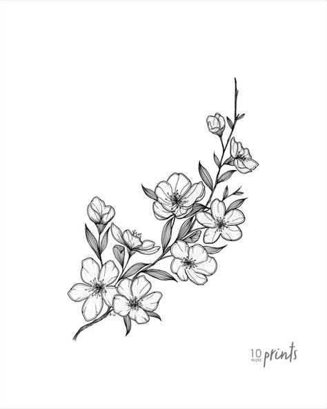 Black Ink Illustration, Hawthorne Flower, Blossom Illustration, Tree Branch Tattoo, Peach Tattoo, Flor Tattoo, Floral Back Tattoos, Shoulder Sleeve Tattoos, Branch Tattoo