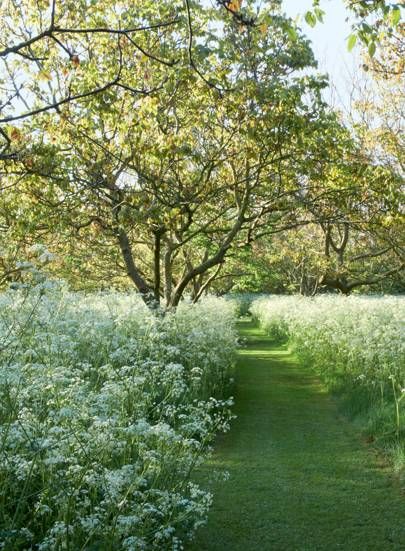 Corner Landscaping Ideas, Flower Bed Decor Ideas, Cotswold Garden, Corner Landscaping, Flower Bed Decor, Orchard Garden, Outdoor Look, Wild Flower Meadow, Meadow Garden