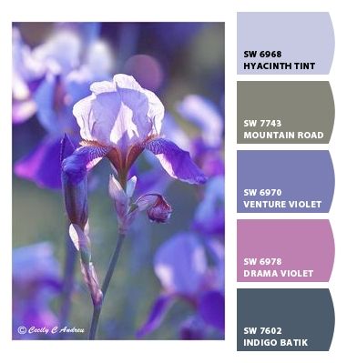 Hyacinth Color Palette, Jogging Path, Fawn Brindle, Sherwin Williams Color Palette, Indigo Batik, Wedding Color Scheme, Bathroom Master, Trending Colors, Mood Colors