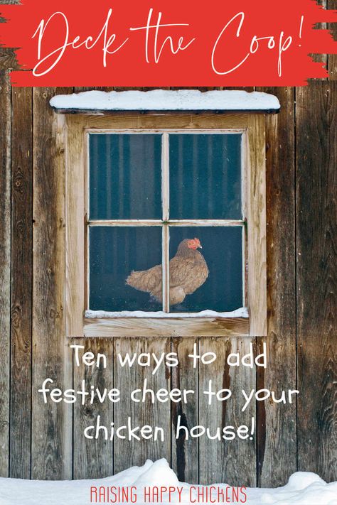 Decorated Chicken Coop Ideas, Christmas Chicken Coop Decor, Chicken Coop Christmas Lights, Decorating Chicken Coop For Christmas, Inside Chicken Coop Decorating Ideas, Decorating Chicken Coop Exterior, Cute Coop Ideas, Coop Decorating Ideas, Cute Chicken Coop Decor