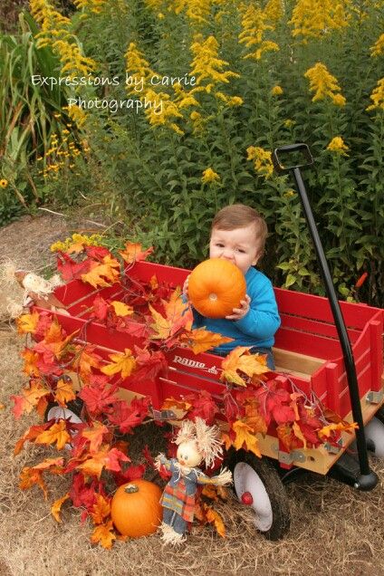 Fall one year photoshoot wagon pumpkins Pumpkin Wagon Photoshoot, Fall Wagon Photoshoot, Fall One Year Photoshoot, Thanksgiving Photoshoot Ideas, One Year Photoshoot, Fall Baby Pictures, Pumpkin Patch Photoshoot, Thanksgiving Bingo, Kid Pics