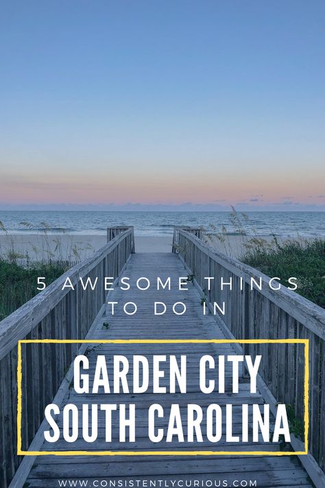 Discover the thrill of ghost crab hunting, walk through enchanting gardens or simply sit back an enjoy the sea breeze. There is plenty of things to do while visiting Garden City, SC.  #gardencitysc #gardencity #southcarolina Garden City Beach Sc, Ghost Crab, Myrtle Beach Restaurants, South Carolina Travel, Surfside Beach, South Carolina Beaches, Family Vacay, Murrells Inlet, Beach Vacay