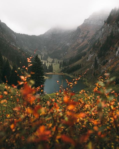 P I N T E R E S T @heidiboldt03 Lake Aesthetic, Aesthetic Tumblr, Nature Aesthetic, Pretty Places, Nature Travel, Beautiful World, Pretty Pictures, Beautiful Landscapes, In The Middle