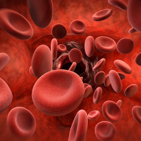 red blood cells in vein Low Platelets, Hemoglobin Levels, Blood Type Diet, Blood Pressure Chart, Blood Pressure Diet, High Blood Sugar, Red Blood Cells, Blood Type, Blood Cells