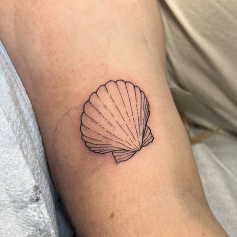 sometimes it really is the simple things . tysm Jordan I loved this one and I love doing minimalism . . . . . . . #seashell #seashelltattoo #finelinetattoo #minimalismtattoo #hamptonroadstattoo #757tattoo #757tattoos #vatattooartist #757tattooartist #virginiatattooartist #norfolkvatattoo #norfolktattoo #virginiatattooshop #vabeachtattoo #virginiabeachtattoo #757tattooshops Simple Seashell Tattoo, Scallop Shell Tattoo, Virginia Tattoo, Seashell Tattoo, Moon Snail, Shell Tattoo, Seashell Tattoos, Shell Tattoos, 7 Tattoo