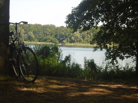 summer aesthetic, nature, lake, green Summer 1990 Aesthetic, Nostalgic Summer Aesthetic, Late Summer Aesthetic, Summer Aesthetic Nature, Heavenly Bodies, Summer Lake, Aesthetic Nature, Summer 3, Summer 24