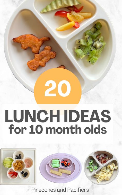 A list of 20 easy lunch ideas for 10 month olds from a mom of three! I'm sharing what my kids have eaten at 10 months old for some baby-led weaning and meal time inspriation. Easy baby led weaning and self-feeding baby food ideas, baby meal ideas, baby lunch ideas, baby-led weaning lunch. 10 Months Old Food Ideas, 10 Months Food Ideas, 11 Month Old Meal Plan, Meals 10 Month Old, Feeding Schedule For 10 Month Old, Lunch Idea For 10 Month Old, Lunch Idea For 12 Month Old, Baby Lunches For Daycare, Meals For Ten Month Old