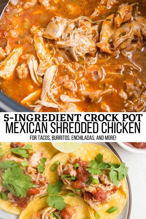 Shredded Chicken For Tacos, Chicken For Tacos, Crock Pot Mexican, Shredded Chicken Crockpot, Mexican Shredded Chicken, Shredded Chicken Tacos, Mexican Chicken Recipes, Homemade Enchilada Sauce, Homemade Enchiladas