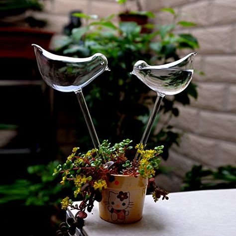 2pcs Bird Shape Hand Blown Clear Glass Self Watering Durable Mini Transparent Bird Shape Plant Watering-Siyaglass Watering Bulbs, Self Watering Plants, Self Watering, Planting Bulbs, Water Flowers, Watering Globe, Glass Birds, Water Plants, Small Plants