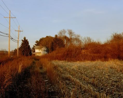 Midwest Emo, Fall Mood Board, Power Lines, Season Of The Witch, Trailer Park, Best Seasons, We Fall In Love, Autumn Aesthetic, Fall Vibes