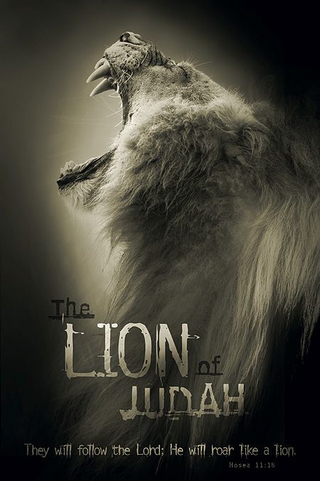 The Lion Of Judah, Lion Of Judah Jesus, Tribe Of Judah, Prophetic Art, Christian Posters, Pictures Of Jesus Christ, Ayat Alkitab, Jesus Christus, Lion Of Judah