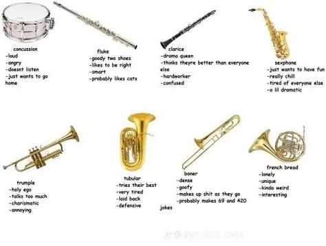 Band Jokes Flute, Flute Memes Funny, Flute Jokes, Flute Quotes, Flute Memes, Funny Band Jokes, Band Puns, Musician Jokes, Marching Band Jokes