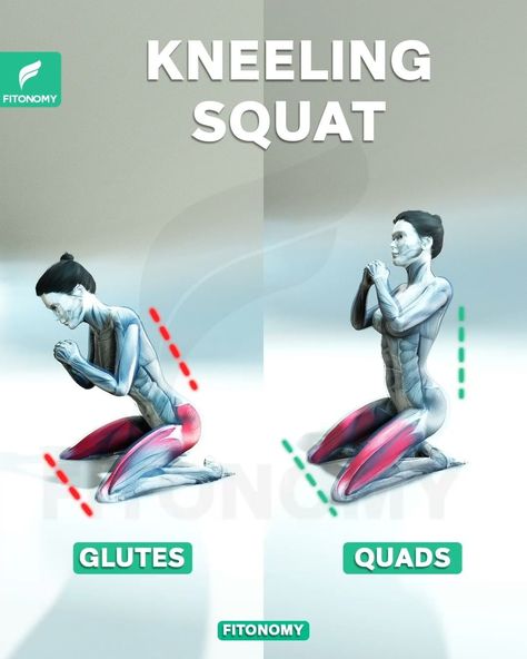 Knee Squats Glutes, Kneeling Workout, Quads Workout For Bad Knees, Seated Quad Exercises, Kneeling Squats Glutes, No Squat Quad Workout, Exercises For Quads, Kneeling Squats Exercise, Best Exercises For Quads