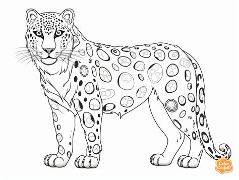 illustration of Snow leopard artistic expression Leapord Drawings, Snow Leopard Pictures, Snow Leopard Drawing, Leopard Drawing, Mandala Turtle, Coloring Page For Adults, Safari Adventure, Color Images, Snow Mountain