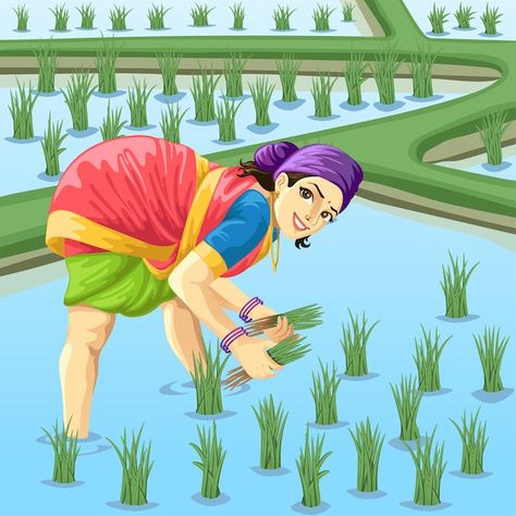 Tamil woman farmer working in paddy fiel... | Premium Vector #Freepik #vector #landscape #rice #indian #organic Tamil Images, Farmer Working, Agriculture Pictures, Woman Farmer, Farmer Painting, Paddy Field, Field Work, Farmer Girl, Indian Illustration