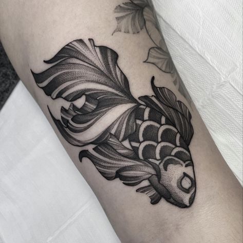 Neo Traditional Fish Tattoo, Japanese Blackwork Tattoo, Small Blackwork Tattoo, Fish Tattoo Drawing, Fish Tattoo Design, Black And White Tattoos, Pointillism Tattoo, Samurai Tattoo Sleeve, Goldfish Tattoo