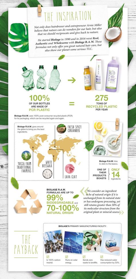 Cosmetic Infographic Design, Organic Skin Care Packaging, Sample Flyers, Branding Infographic, Organic Hair Care, Skin Care Packaging, Organic Cosmetics, Organic Makeup, Back To Nature